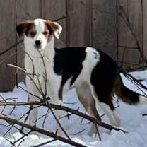 Thumbnail photo of Jewel #2