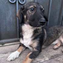 Thumbnail photo of Samantha #1