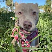 Thumbnail photo of Mawana #3