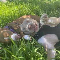 Thumbnail photo of Mawana #4