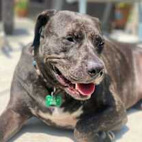 Thumbnail photo of Claire #1