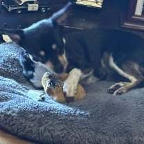 Thumbnail photo of Pepsi~ #2