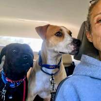 Thumbnail photo of Sandy Avalon The Girl with the Gentlest soul #2