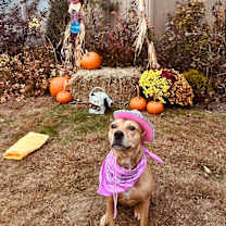 Thumbnail photo of Sandy #2