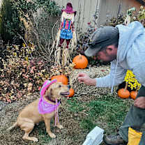 Thumbnail photo of Sandy #3