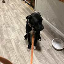 Thumbnail photo of Matilda #3