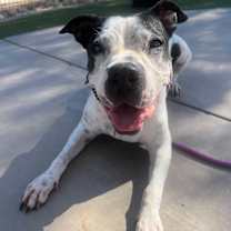 Thumbnail photo of KiKi #4