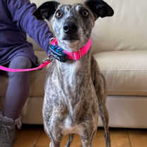 Thumbnail photo of India #2