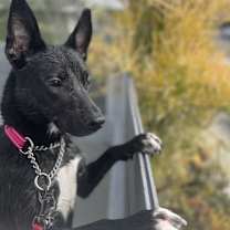 Thumbnail photo of Kaida #4