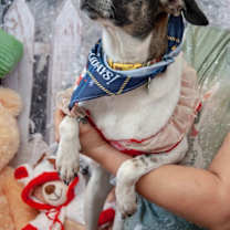 Thumbnail photo of Libra #2