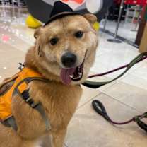 Thumbnail photo of Philip (HDS) #3