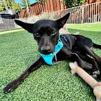 Thumbnail photo of Jason #1