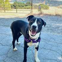 Thumbnail photo of Nathan #1