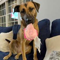 Thumbnail photo of Allie * #1