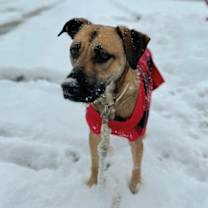 Thumbnail photo of Allie * #3