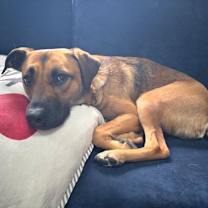 Thumbnail photo of Allie * #4