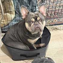 Thumbnail photo of Hollywood #2