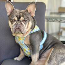 Thumbnail photo of Hollywood #4