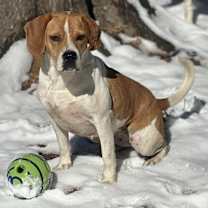 Thumbnail photo of Sonya #1