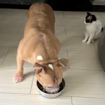 Thumbnail photo of Gucci #2