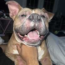 Thumbnail photo of Gucci #3