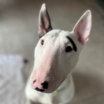 Thumbnail photo of Gracie Holly #1