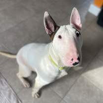 Thumbnail photo of Gracie Holly #2