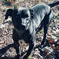 Thumbnail photo of Barry #3