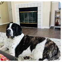 Thumbnail photo of Everest #3