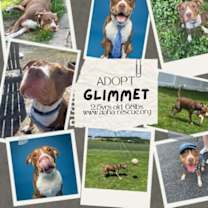 Thumbnail photo of Glimmet #3