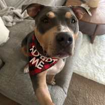 Thumbnail photo of REMI #1