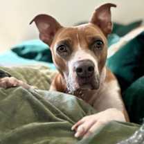 Thumbnail photo of Archibald #1