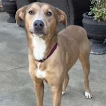 Thumbnail photo of Talia #4