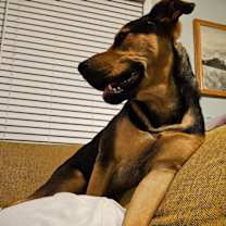 Thumbnail photo of Mabry #1