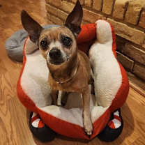 Thumbnail photo of 24-088 Calvin #1