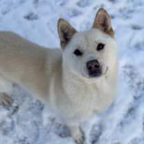 Thumbnail photo of Happy #4