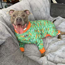 Thumbnail photo of Luka #2