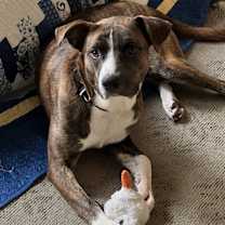 Thumbnail photo of Hank #2