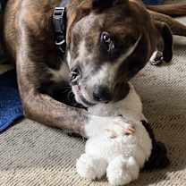 Thumbnail photo of Hank #3