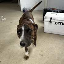 Thumbnail photo of Hank #4