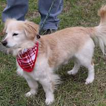 Thumbnail photo of Shaggy #3