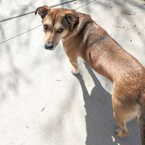 Thumbnail photo of Casey #3
