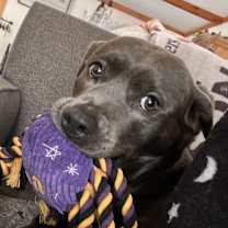 Thumbnail photo of Jasmine #1