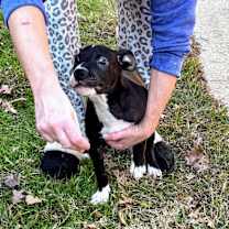 Thumbnail photo of Trooper #2