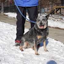 Thumbnail photo of Blossom #4