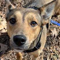 Thumbnail photo of Elphie #2