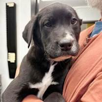 Thumbnail photo of Randall is RIDICULOUSLY SWEET! #1