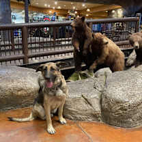 Thumbnail photo of Heidy #1