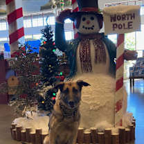 Thumbnail photo of Heidy #2