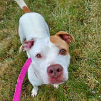Thumbnail photo of Eddie #1